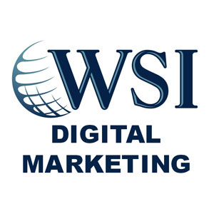 WSI Digital Consultancy Network